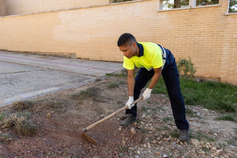 Dirt Work Service
