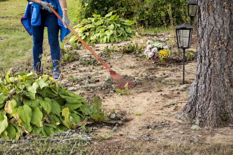Land Clearing in Salt Lake City, UT