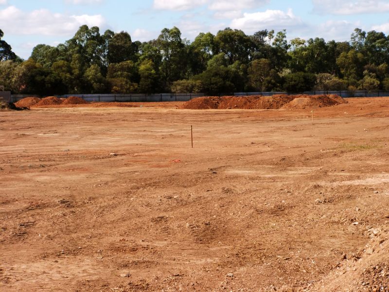 Land Preparation Service in Katy, TX
